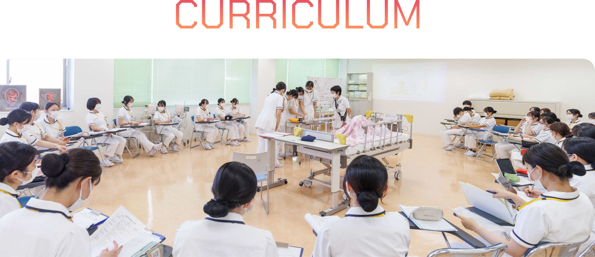 CURRICULUM